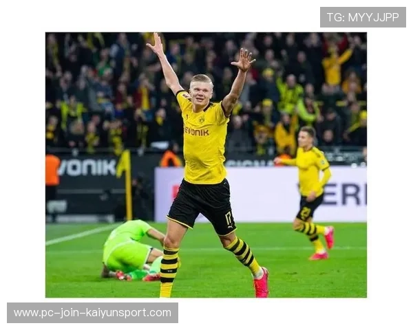 青岛海牛锋霸成香饽饽 半程高效输出引两大豪门争夺 青岛海牛锋霸成香饽饽 半程高效输出引两大豪门争夺