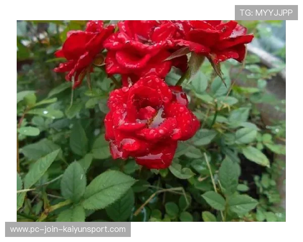 比赛精彩瞬间:每一秒都值得回味!,比赛的精彩瞬间 比赛精彩瞬间:每一秒都值得回味!,比赛的精彩瞬间